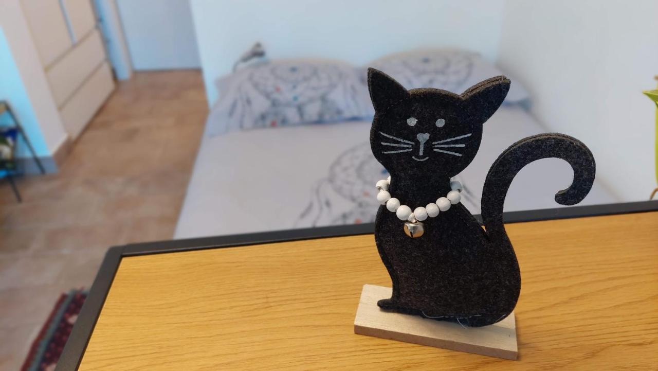 Apartman Pri Piratski Macki - At The Pirate Cat - Dal Gatto Pirata *